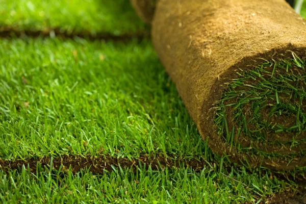 depositphotos_6408873-stock-photo-turf-grass-rolls-closeup