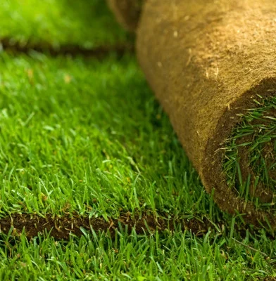 depositphotos_6408873-stock-photo-turf-grass-rolls-closeup